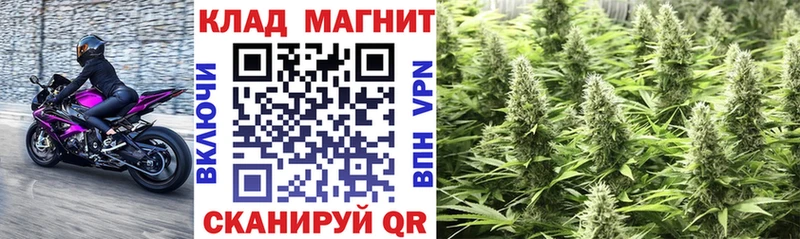 Наркота Салехард Каннабис Меф А ПВП Гашиш Кокаин