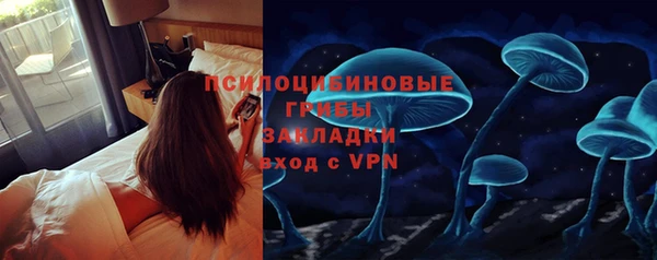 крисы Арсеньев