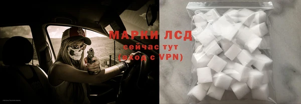 стафф Новокубанск