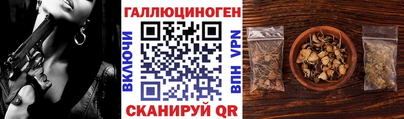 blacksprut онион  купить наркоту  Салехард  Галлюциногенные грибы мицелий 